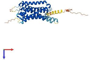 AlphaFold protein structure predicition of Human Recombinant HRH2 Protein, UniprotID P25021