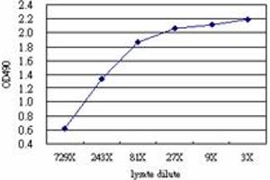 DCN (Human) Matched Antibody Pair