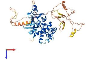 AlphaFold protein structure predicition of Mouse Recombinant Kmt5c Protein, UniprotID Q6Q783