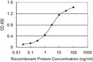 Detection limit for recombinant GST tagged BCAS1 is 0. (BCAS1 anticorps  (AA 1-80))