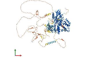 AlphaFold protein structure predicition of Mouse Recombinant Stard13 Protein, UniprotID Q923Q2