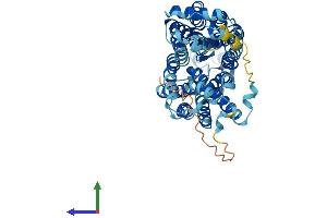 AlphaFold protein structure predicition of Mouse Recombinant Slc22a4 Protein, UniprotID Q9Z306