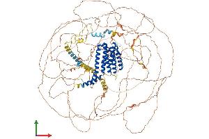 AlphaFold protein structure predicition of Human Recombinant AFF2 Protein, UniprotID P51816