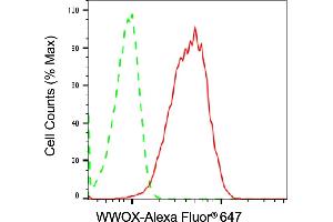Flow cytometric analysis of WWOX expression in HeLa cells using WWOX antibody (ABIN7800871), 1:2,000). (Recombinant WWOX anticorps)
