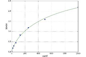 A typical standard curve