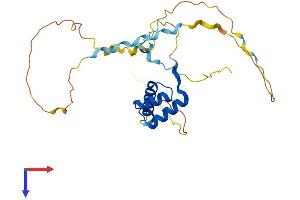 AlphaFold protein structure predicition of Mouse Recombinant Hoxb4 Protein, UniprotID P10284