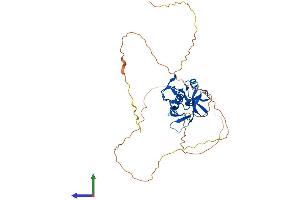 AlphaFold protein structure predicition of Human Recombinant RNF146 Protein, UniprotID Q9NTX7