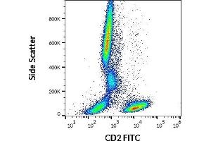 Flow cytometry surface staining pattern of human peripheral whole blood stained using anti-human CD2 (LT2) FITC antibody (20 μL reagent / 100 μL of peripheral whole blood).