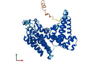 AlphaFold protein structure predicition of Mouse Recombinant Mboat7 Protein, UniprotID Q8CHK3