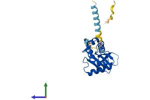 AlphaFold protein structure predicition of Mouse Recombinant Copz2 Protein, UniprotID Q9JHH9