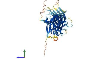 AlphaFold protein structure predicition of Mouse Recombinant Sag Protein, UniprotID P20443