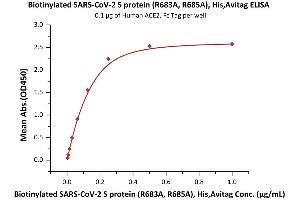 Immobilized Human ACE2, Fc Tag (Cat.