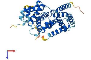 AlphaFold protein structure predicition of Mouse Recombinant Ccng1 Protein, UniprotID P51945