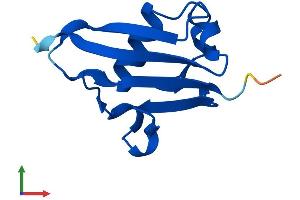 AlphaFold protein structure predicition of Human Recombinant URM1 Protein, UniprotID Q9BTM9