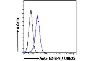 ABIN184893 Flow cytometric analysis of paraformaldehyde fixed HeLa cells (blue line), permeabilized with 0. (UBE2S anticorps  (N-Term))