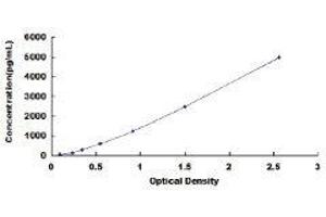 ELISA image for Chemokine (C-C Motif) Ligand 22 (CCL22) ELISA Kit (ABIN414906)