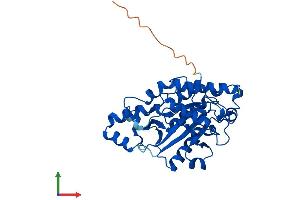 AlphaFold protein structure predicition of Human Recombinant PLCXD1 Protein, UniprotID Q9NUJ7