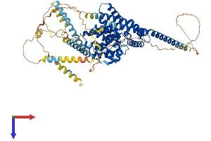 AlphaFold protein structure predicition of Mouse Recombinant Pde1c Protein, UniprotID Q64338