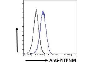 ABIN185208 Flow cytometric analysis of paraformaldehyde fixed A549 cells (blue line), permeabilized with 0. (PITPNM1 anticorps  (C-Term))