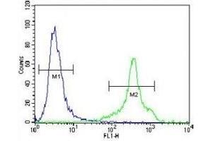 HLA-DQA1 antibody flow cytometric analysis of NCI-H460 cells (green) compared to a negative control cell (blue). (HLA-DQA1 anticorps  (AA 39-66))
