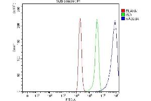 Flow Cytometry analysis of C6 cells using anti-HHR23A/RAD23A antibody (ABIN7603222).