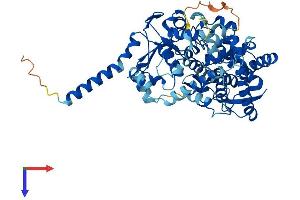 AlphaFold protein structure predicition of Mouse Recombinant Tbxas1 Protein, UniprotID P36423