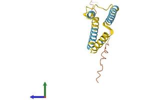 AlphaFold protein structure predicition of Mouse Recombinant Bik Protein, UniprotID O70337