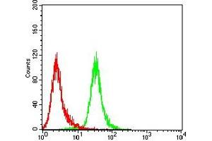Flow cytometric analysis of Hela cells using MLH1 mouse mAb (green) and negative control (red).