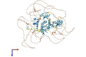 AlphaFold protein structure predicition of Human Recombinant ADNP Protein, UniprotID Q9H2P0