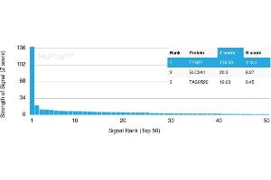 Analysis of Protein Array containing more than 19,000 full-length human proteins using TYRP1-Monospecific Mouse Monoclonal Antibody (TYRP1/3283) Z- and S- Score: The Z-score represents the strength of a signal that a monoclonal antibody (Monoclonal Antibody) (in combination with a fluorescently-tagged anti-IgG secondary antibody) produces when binding to a particular protein on the HuProtTM array. (Tyrosinase-Related Protein 1 anticorps  (AA 257-377))