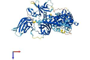 AlphaFold protein structure predicition of Human Recombinant RASAL1 Protein, UniprotID O95294