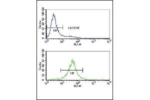 IL10 Antibody (Center) (ABIN653057 and ABIN2842660) flow cytometry analysis of Jurkat cells (bottom histogram) compared to a negative control (top histogram). (IL-10 anticorps  (AA 27-53))