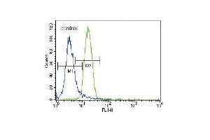 Parkin Antibody (C-term) (ABIN390366 and ABIN2840772) flow cytometric analysis of NCI- cells (right histogram) compared to a negative control cell (left histogram).