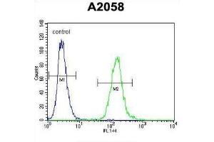 Flow Cytometry (FACS) image for anti-DDB1 and CUL4 Associated Factor 4-Like 2 (DCAF4L2) antibody (ABIN2995734)