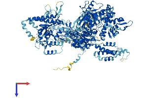 AlphaFold protein structure predicition of Human Recombinant POLR3A Protein, UniprotID O14802