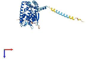AlphaFold protein structure predicition of Human Recombinant GDAP1 Protein, UniprotID Q8TB36