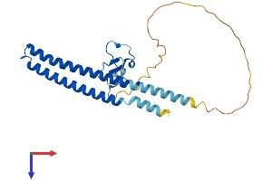 AlphaFold protein structure predicition of Human Recombinant ING5 Protein, UniprotID Q8WYH8