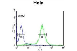 Flow Cytometry (FACS) image for anti-Mercaptopyruvate Sulfurtransferase (MPST) antibody (ABIN3003390)
