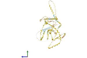 AlphaFold protein structure predicition of Human Recombinant COL25A1 Protein, UniprotID Q9BXS0