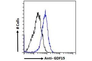 ABIN185465 Flow cytometric analysis of paraformaldehyde fixed HeLa cells (blue line), permeabilized with 0.