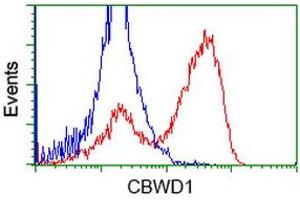HEK293T cells transfected with either RC222790 overexpress plasmid (Red) or empty vector control plasmid (Blue) were immunostained by anti-CBWD1 antibody (ABIN2452879), and then analyzed by flow cytometry. (CBWD1 anticorps)