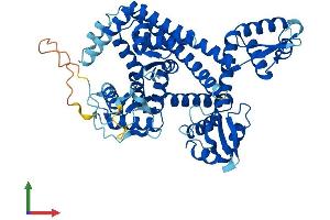 AlphaFold protein structure predicition of Human Recombinant POLR3C Protein, UniprotID Q9BUI4