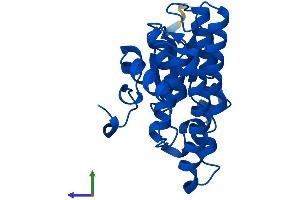 AlphaFold protein structure predicition of Mouse Recombinant Gstz1 Protein, UniprotID Q9WVL0