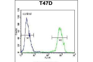 Flow cytometric analysis of T47D cells (right histogram) compared to a negative control cell (left histogram). (Enkephalin anticorps  (AA 145-174))
