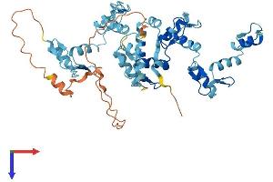 AlphaFold protein structure predicition of Human Recombinant ZIM3 Protein, UniprotID Q96PE6