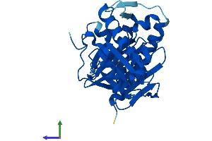AlphaFold protein structure predicition of Human Recombinant IMPA1 Protein, UniprotID P29218