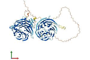 AlphaFold protein structure predicition of Human Recombinant WDR27 Protein, UniprotID A2RRH5