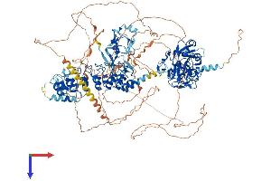 AlphaFold protein structure predicition of Mouse Recombinant Ehmt2 Protein, UniprotID Q9Z148