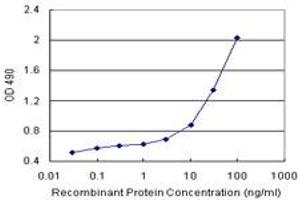 Sandwich ELISA detection sensitivity ranging from 3 ng/mL to 100 ng/mL. (NQO2 (Humain) Matched Antibody Pair)