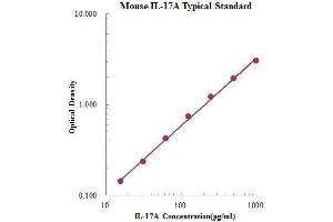 ELISA image for Interleukin 17A (IL17A) ELISA Kit (ABIN2472096) (Interleukin 17a Kit ELISA)